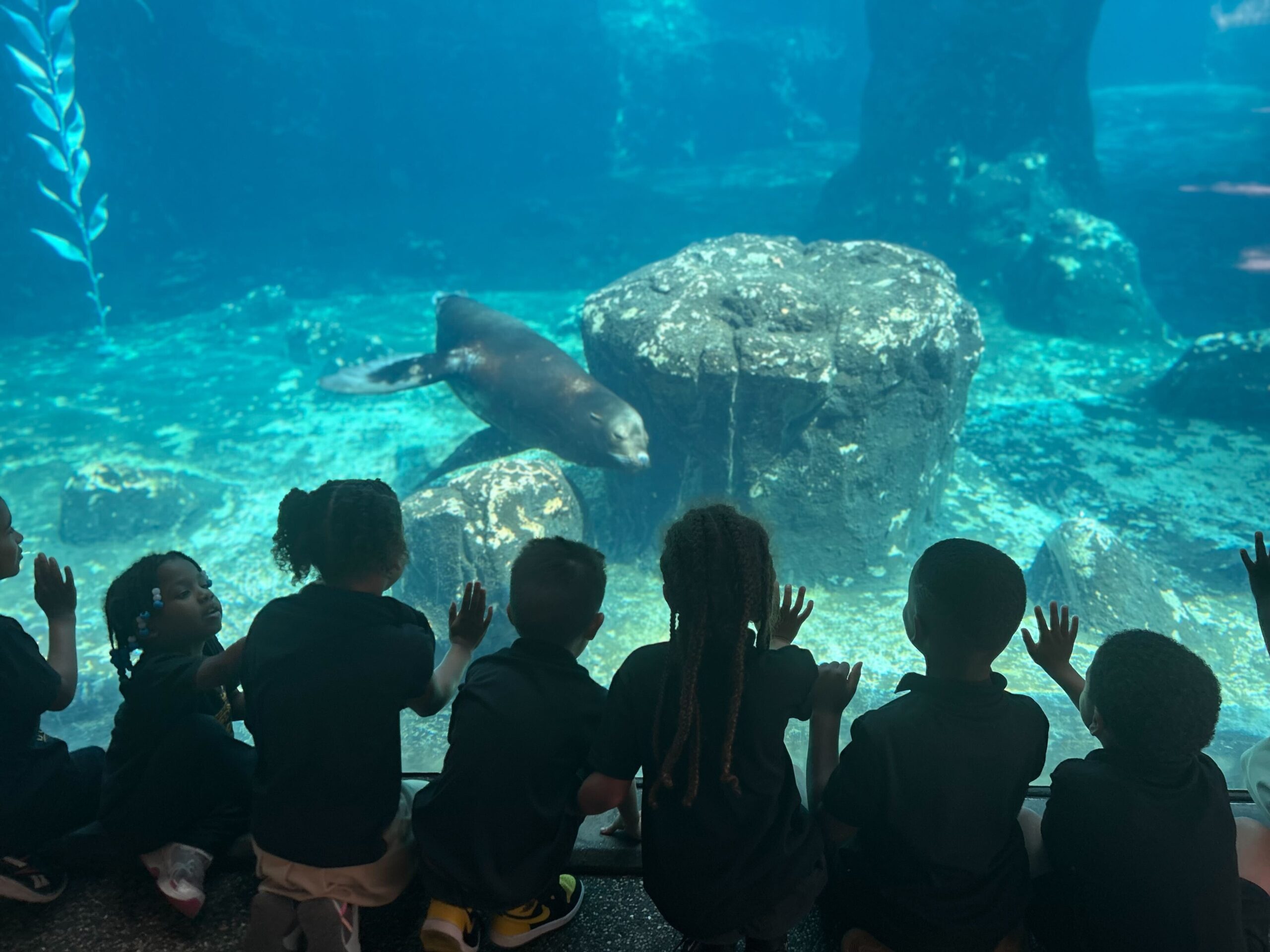 Fresno’s Golden Charter Academy blends academics and nature-based learning