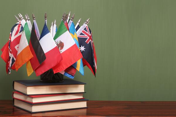 Strategies for Supporting International Scholars (opinion)