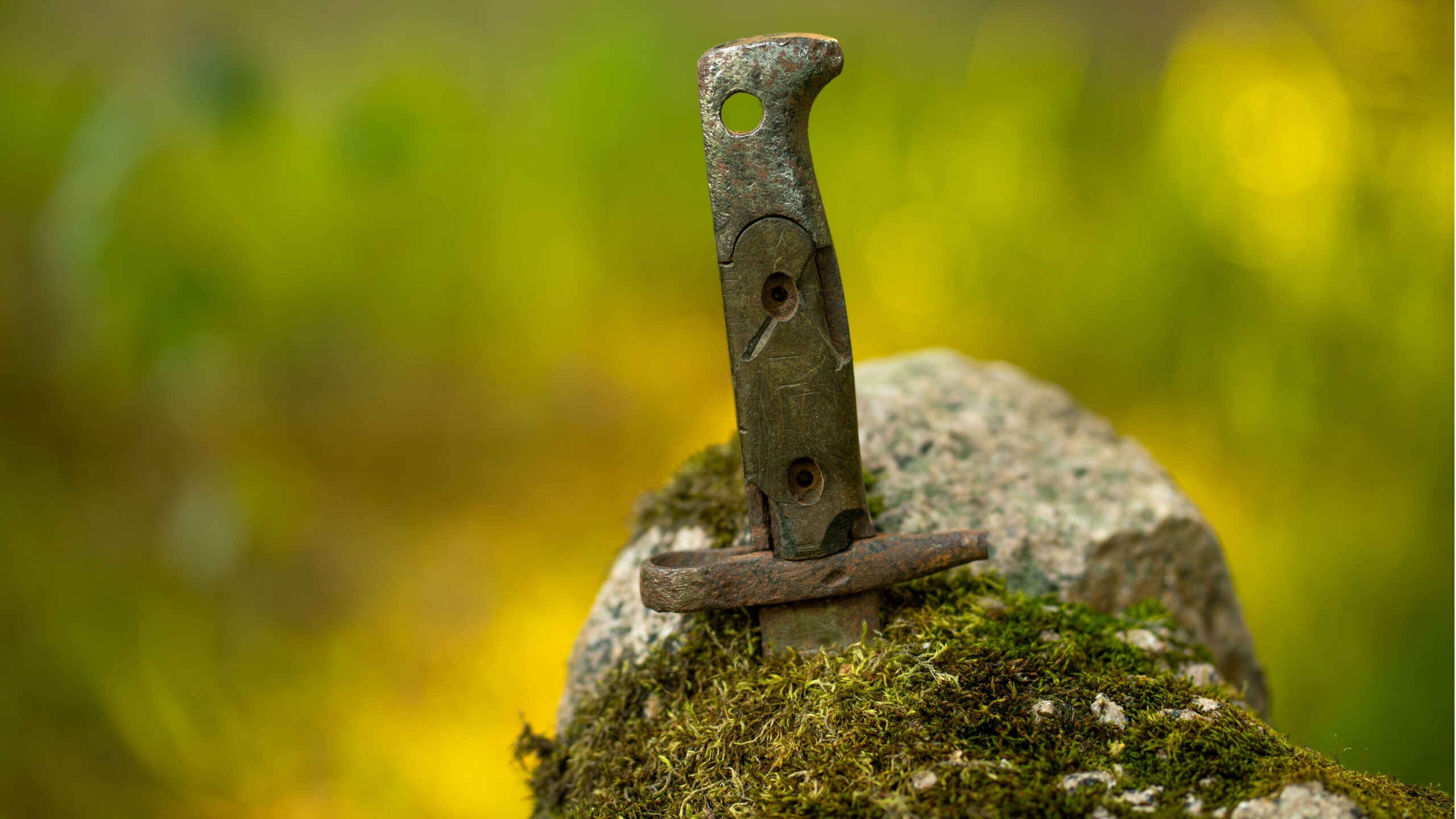 Here&#8217;s what happens when you start AI policy with values, not tools