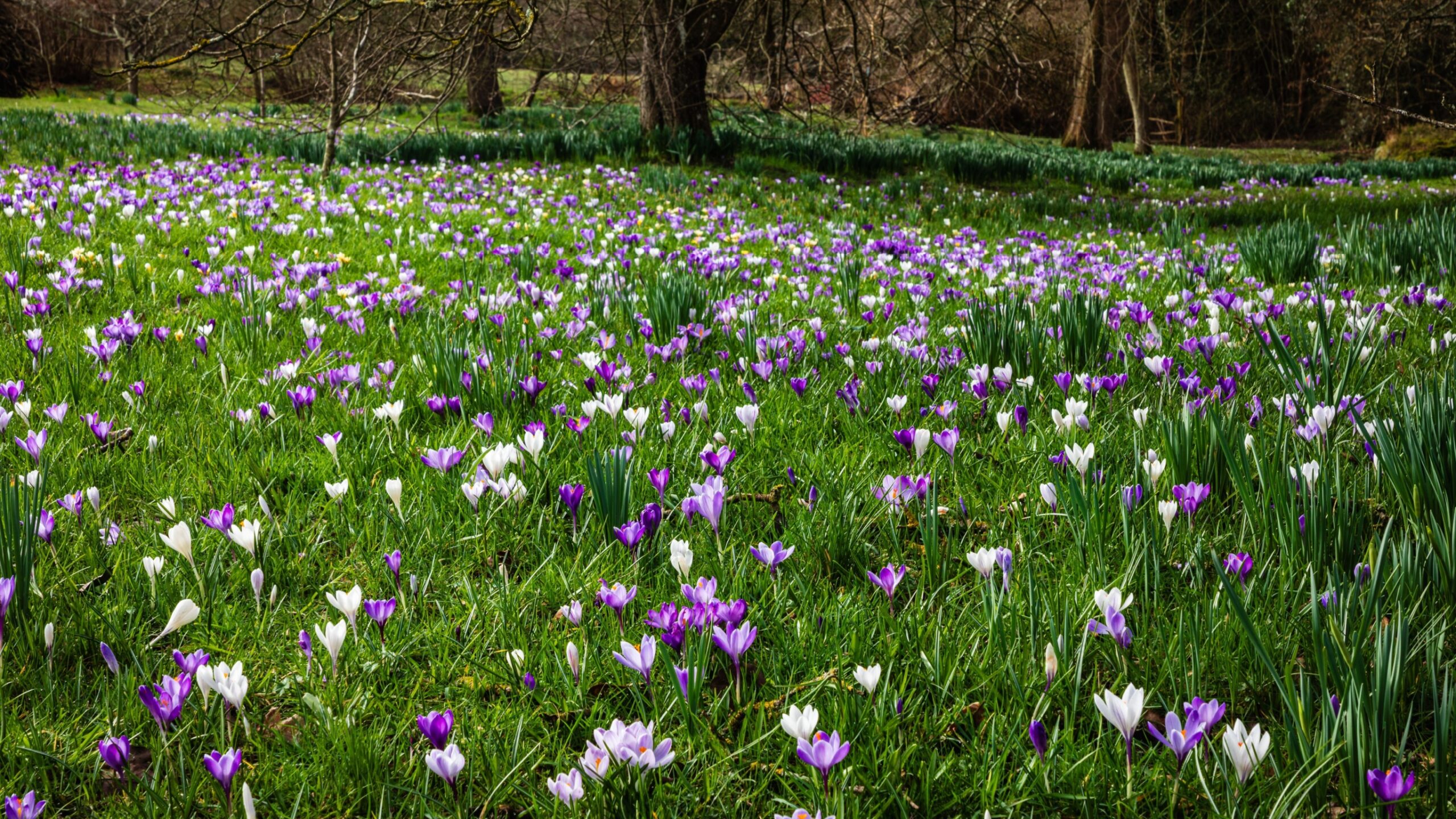 HESA Spring 2026: Staff | Wonkhe