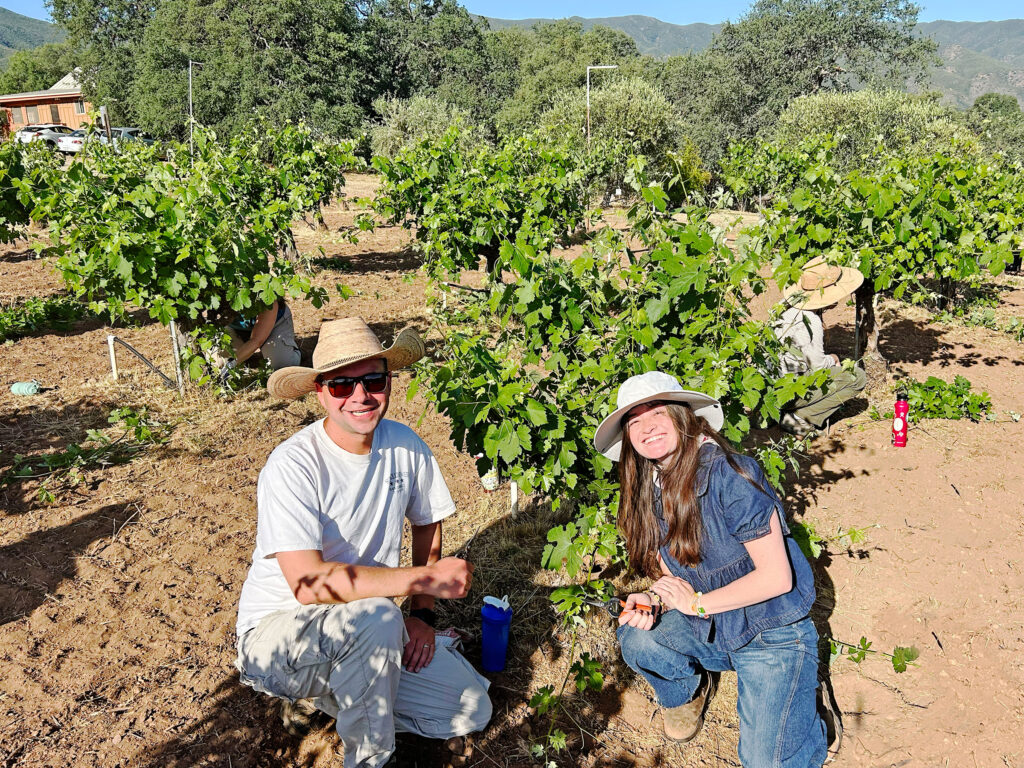 Experiential learning: A solution to AI-driven challenges