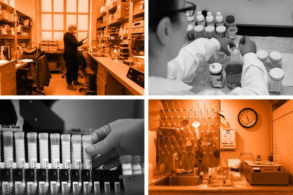 How 2025 Changed Research and What&#8217;s Ahead