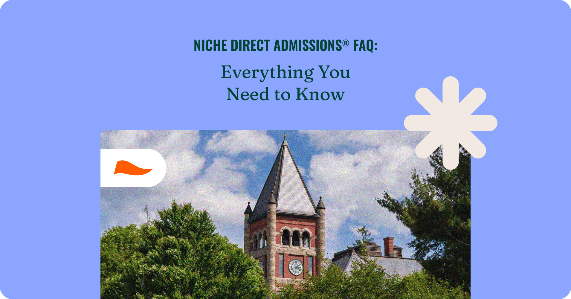 Everything You Need to Know – Niche Blog