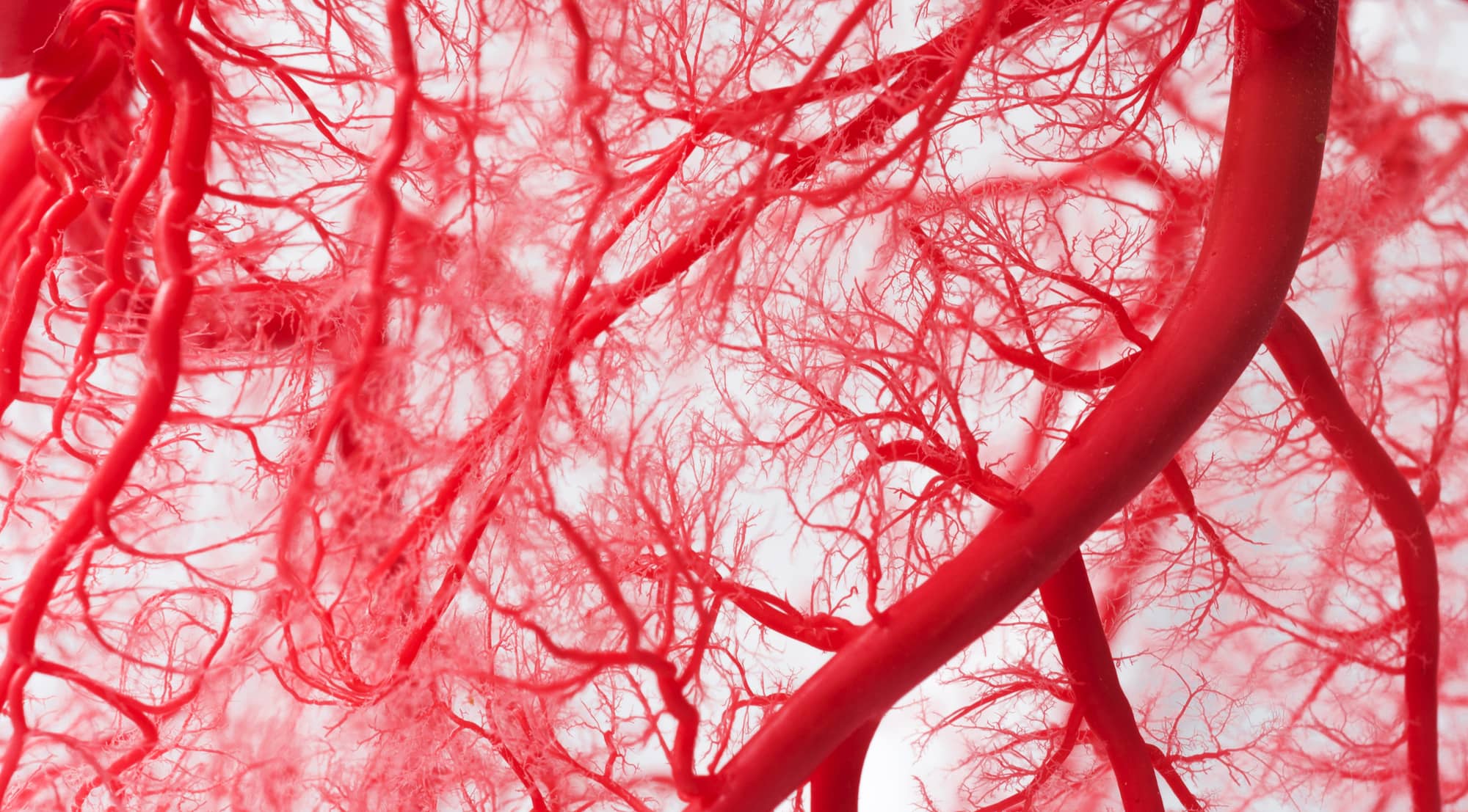 Quality assurance behind the dashboard