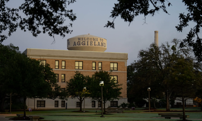 Texas Universities Deploy AI Tools to Review How Courses Discuss Race and Gender – The 74
