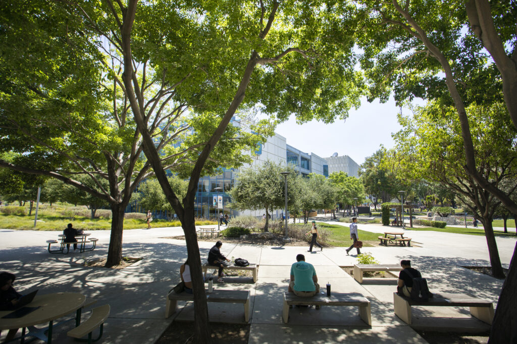 Why do college students choose summer school?