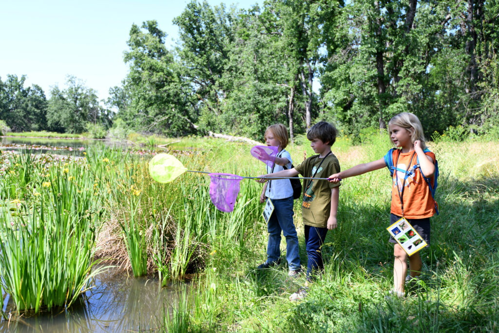 Arts education takes flight outdoors in Mariposa County