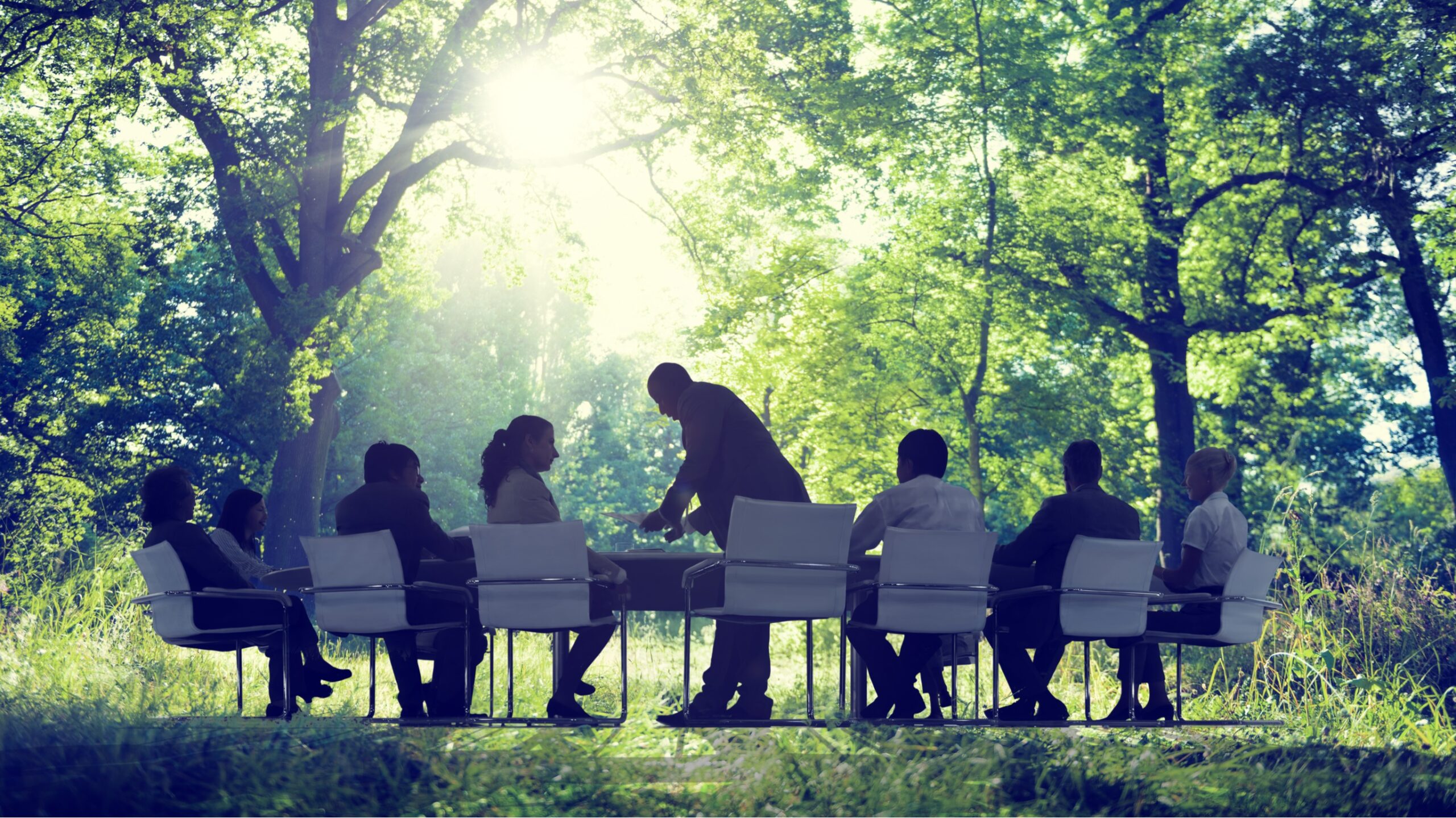 What external examiners do and why it matters