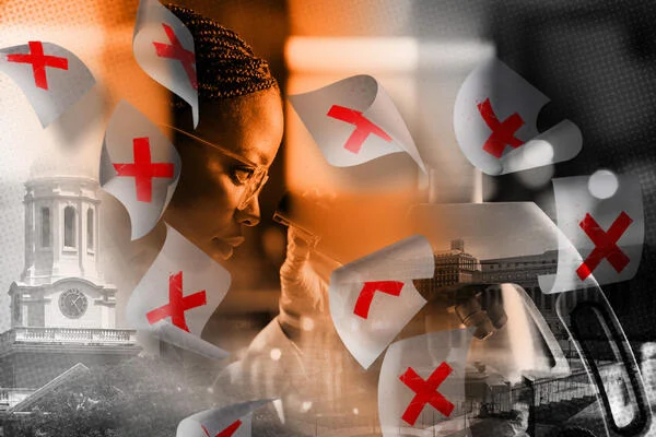 NSF Returns Fellowship Applications With Minimal Reasoning