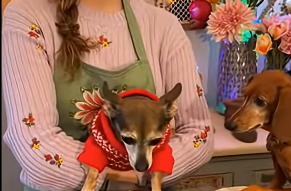 Creating AI Video Shorts for Engagement