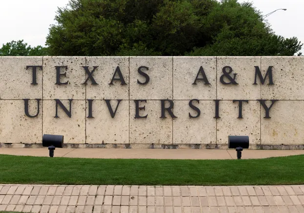 Inside Texas A&#038;M University’s partnership with Google for AI training