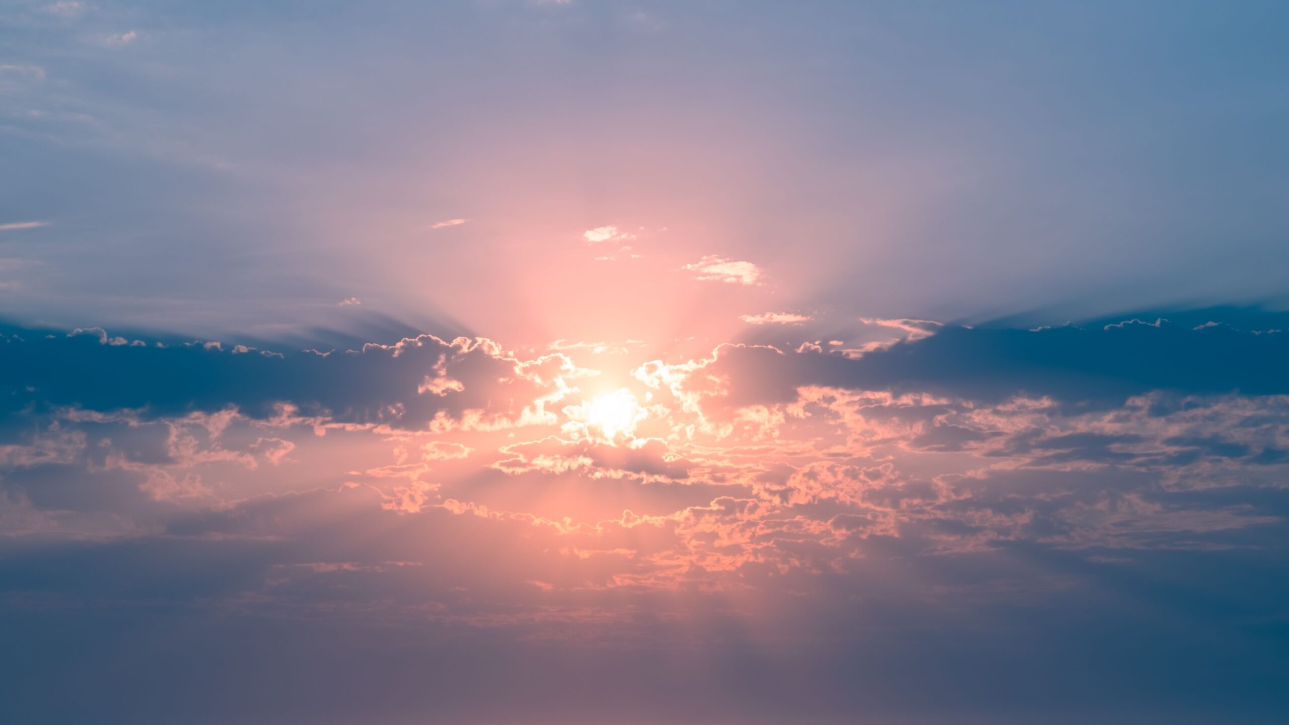 Universities must be a reason for optimism about the country’s future