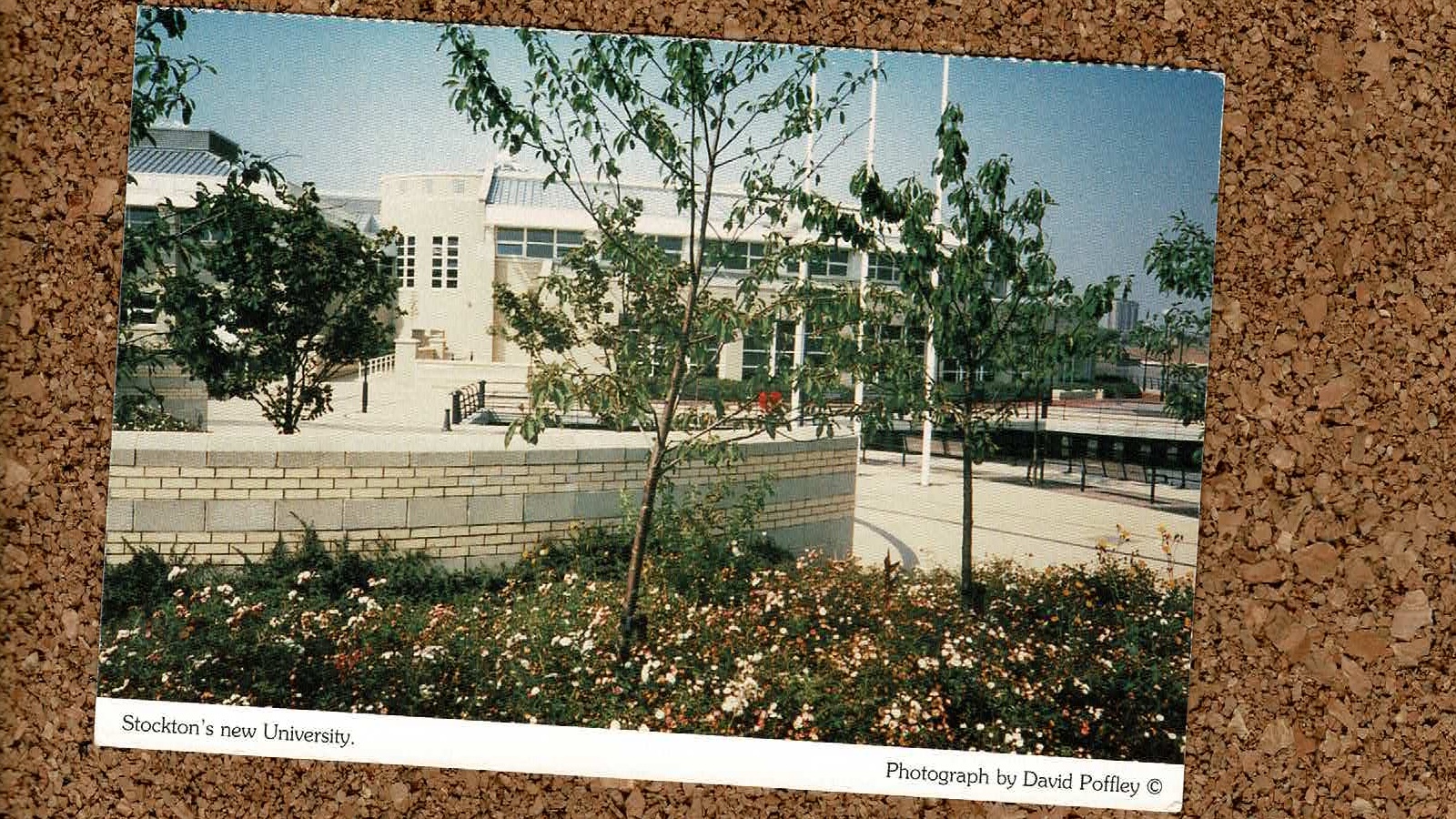 Higher education postcard: University College Stockton
