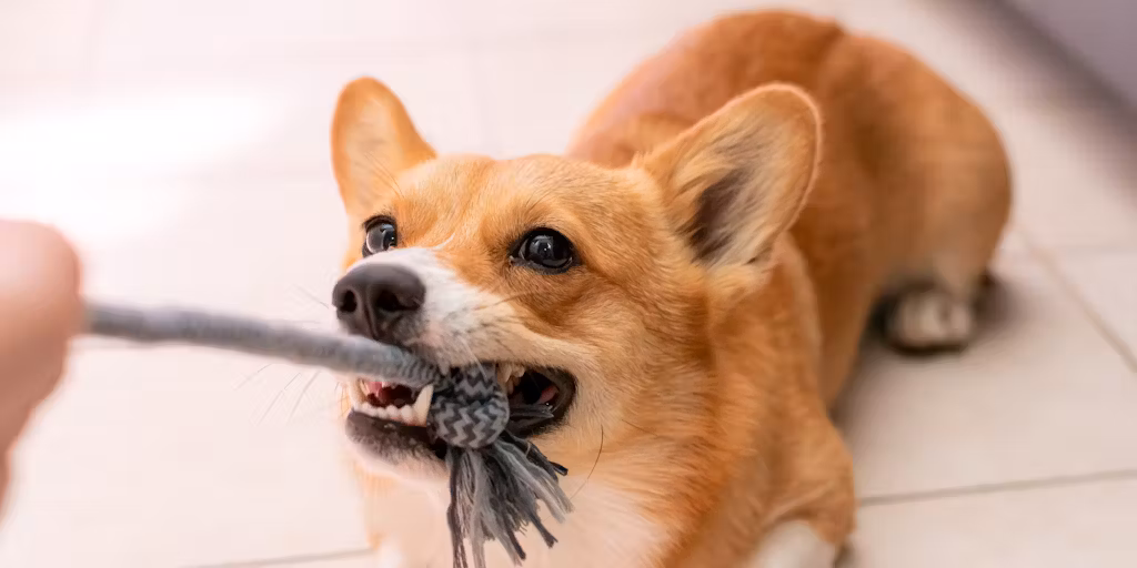 Breaking Up With Edtech Is Hard to Do