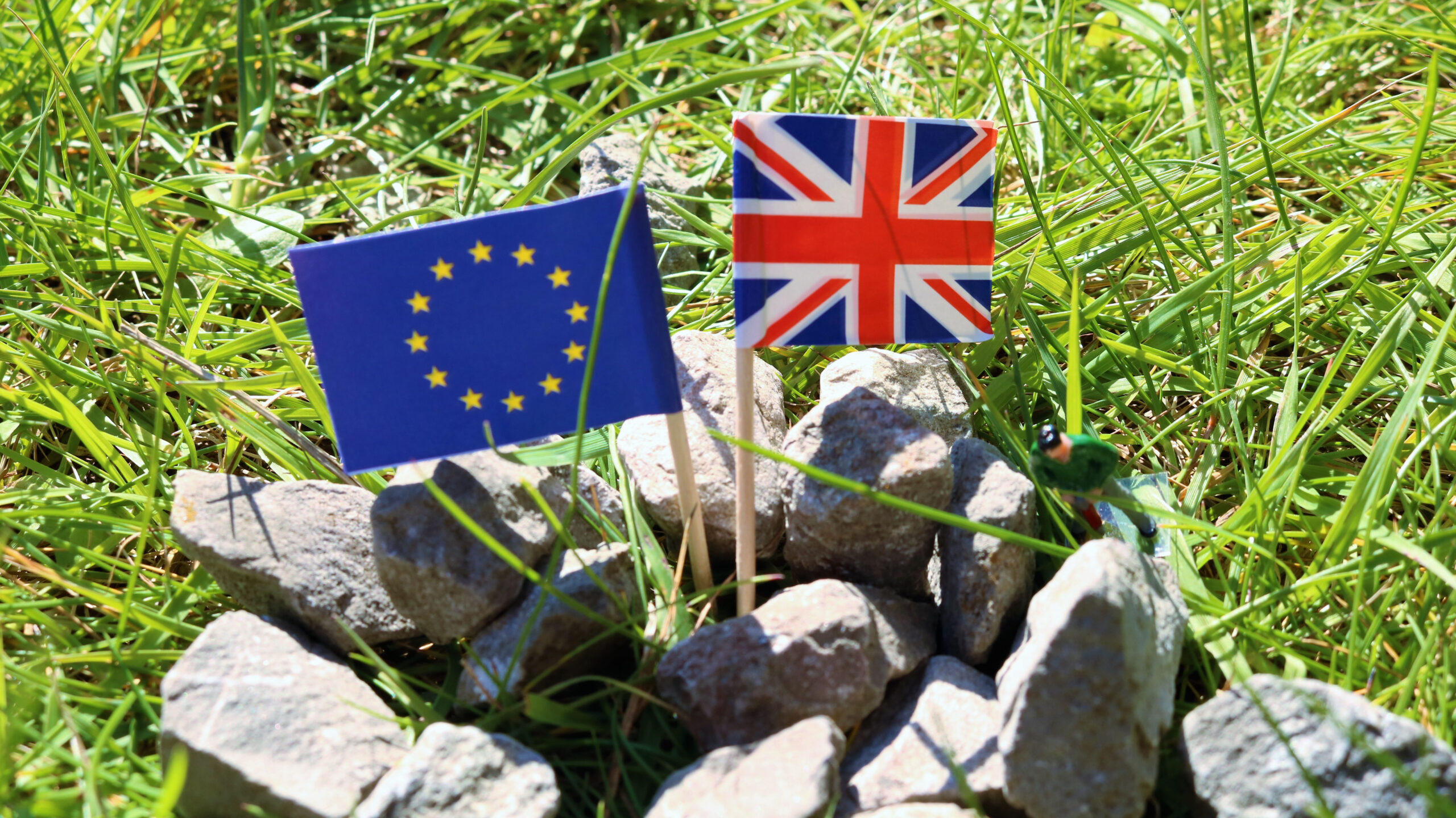 Re-associating with Erasmus+ is only the first step