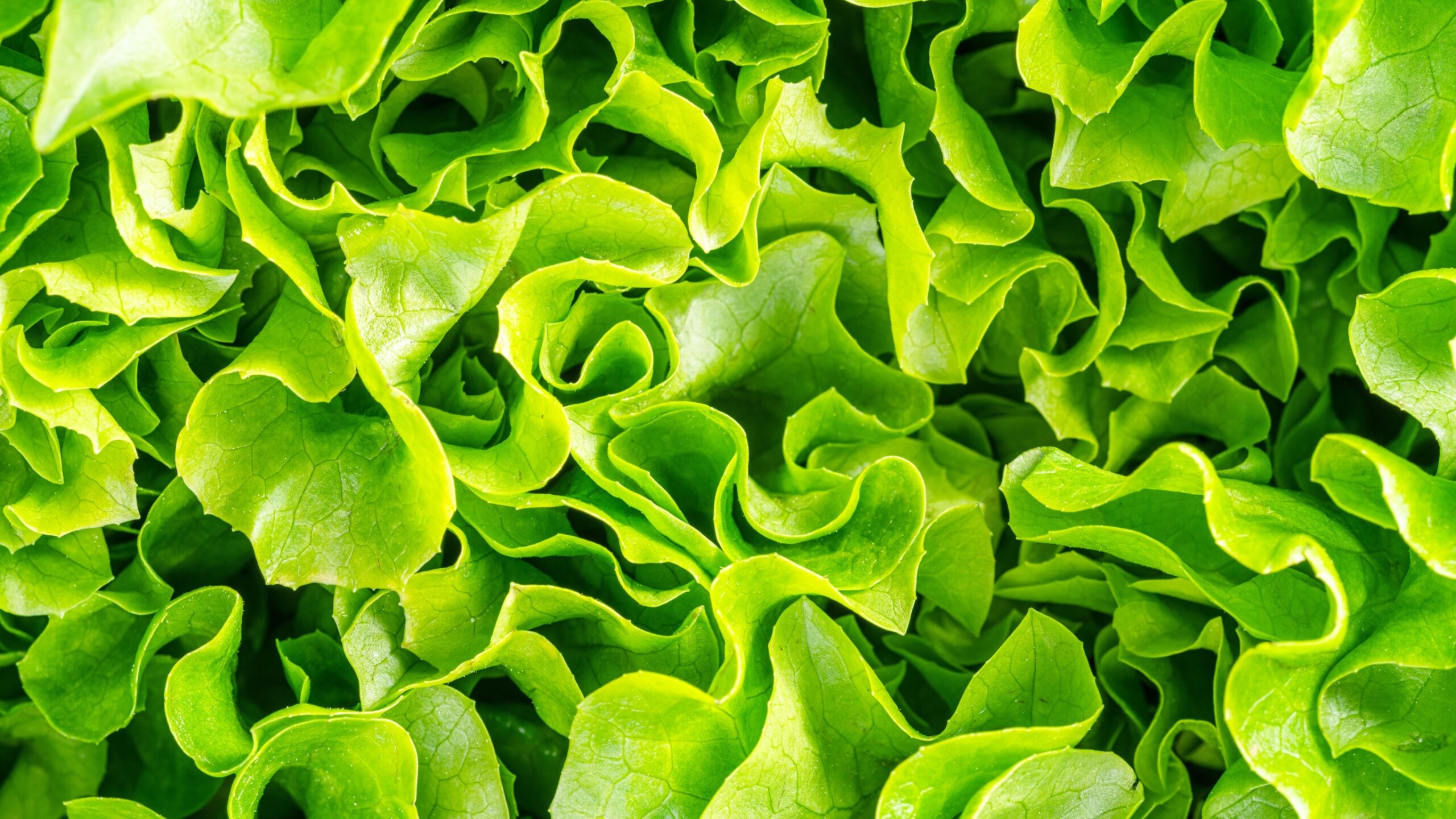 UCAS End of Cycle, 2025: access and participation