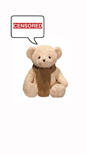 Why This Teddy Bear Was Canceled – The 74