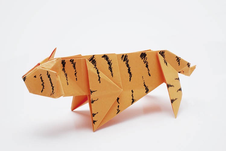 Ben Sasse and Paper Tigers in Academia