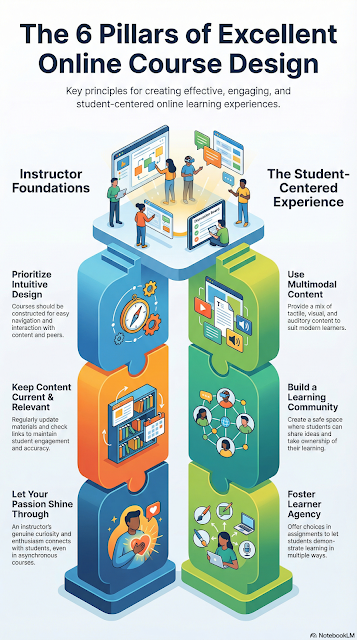 A vertical infographic created by NotebookLM based on my manifesto text.