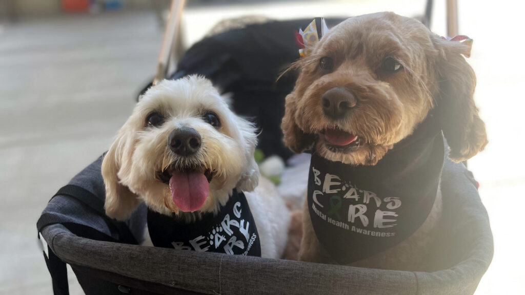 How Covid’s mental health toll transformed California’s schools