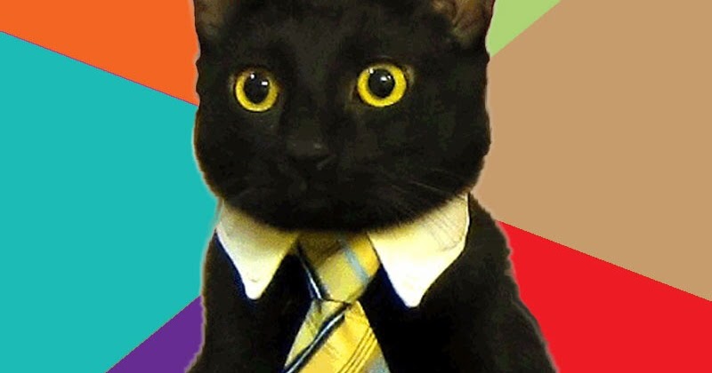 Budgets Are Declarations of Belief