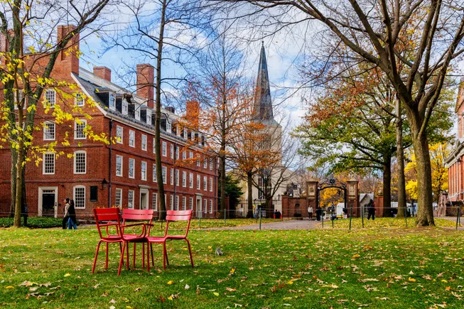 Big university endowments grew 11.5% in FY25, TIFF says