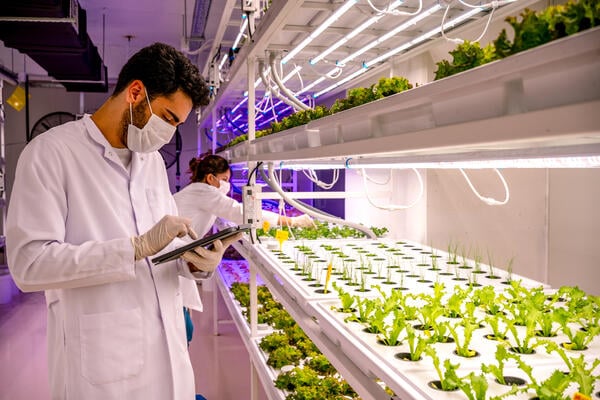 Support Career Agency for International Scientists (opinion)