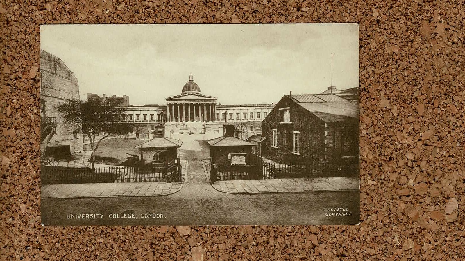 Higher education postcard: UCL, the early years