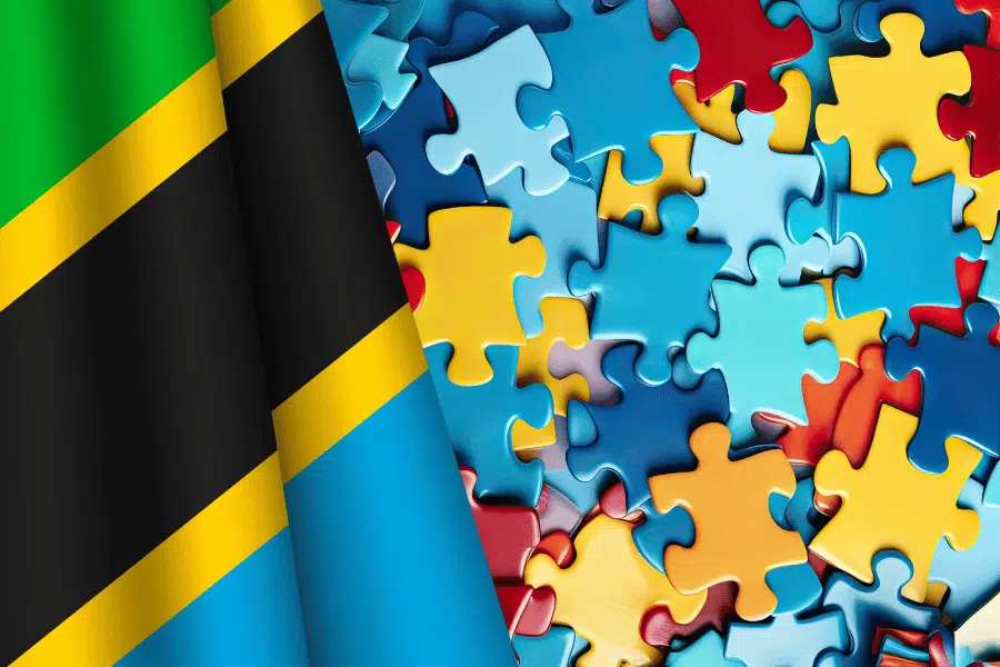 Tanzanian parents struggle with misconceptions of autism