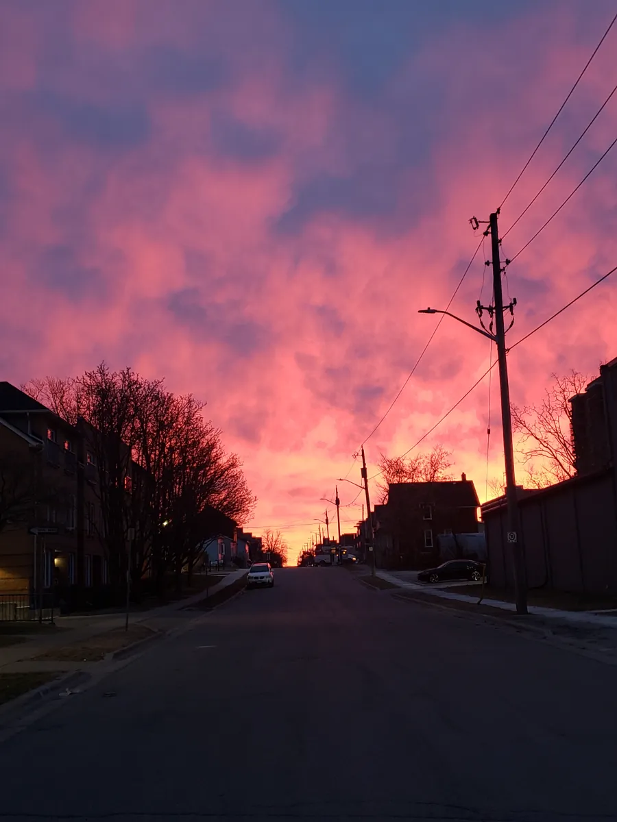 Find joy in the small things – THE STUDENT LIFE BLOG