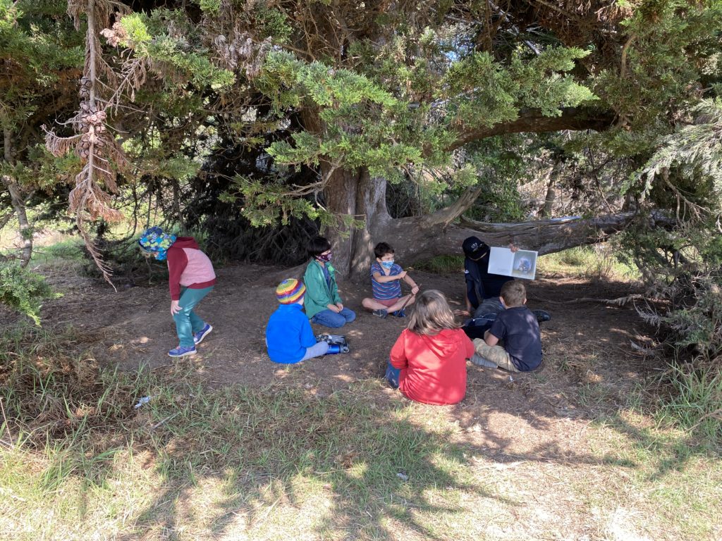 Nature’s classroom: Why preschoolers need more time outdoors 