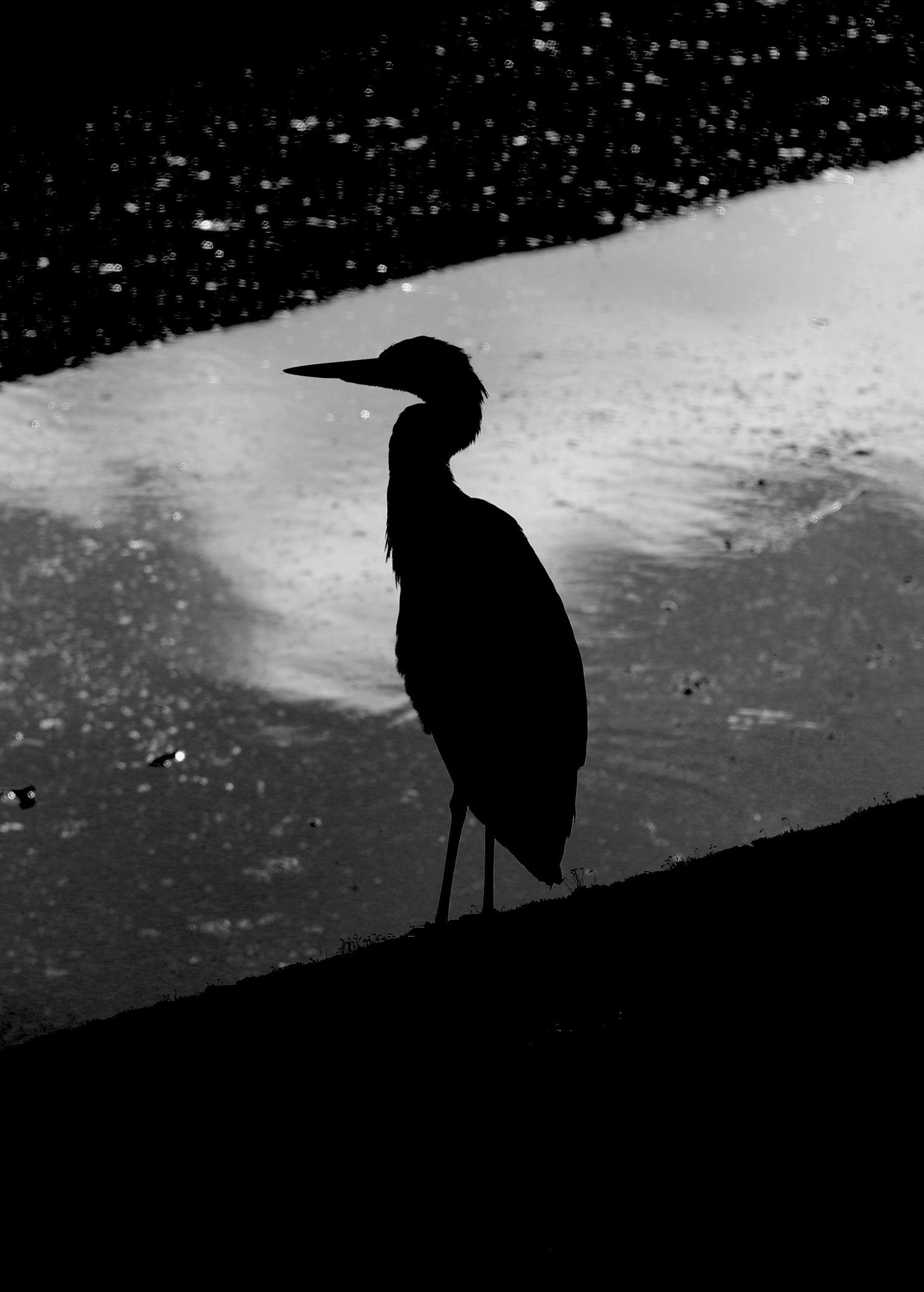 Creating in 2025… – Edutechniques