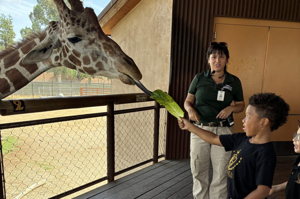 Fresno’s Golden Charter Academy blends academics and nature-based learning