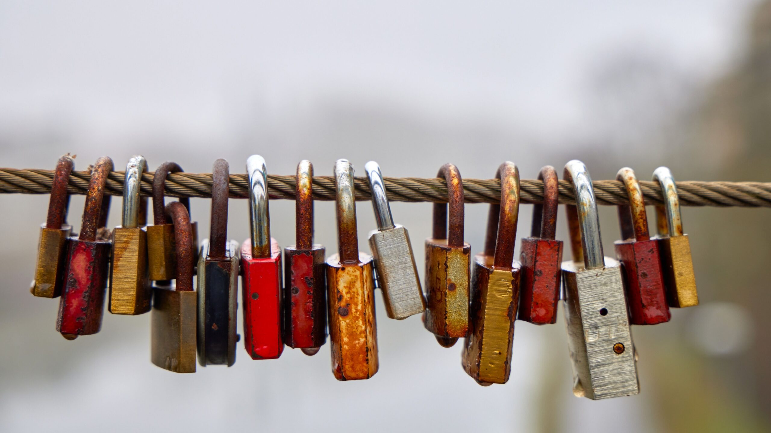 Immigration policy and higher education staff