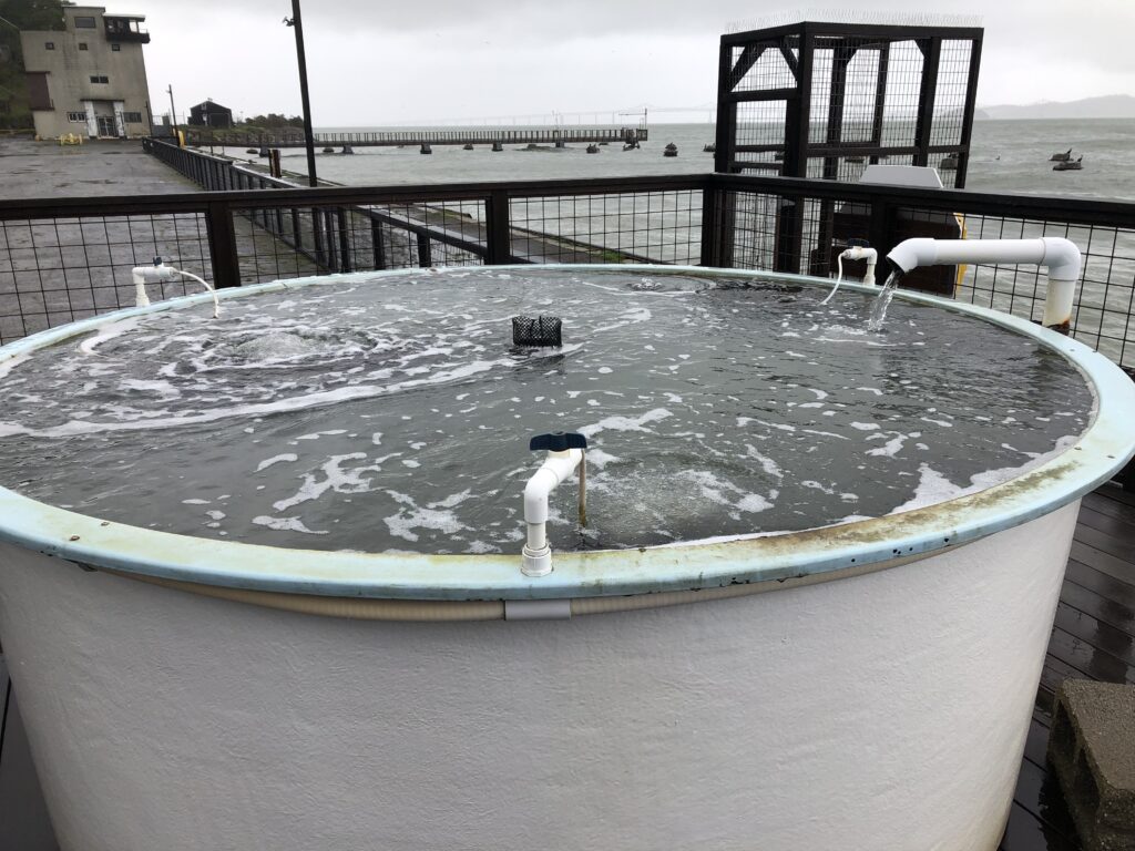 Can a final push save San Francisco State’s marine research campus on the bay?