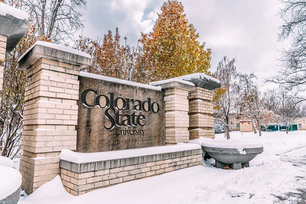 Faculty Rebuke Colorado State’s Internal Chancellor Search