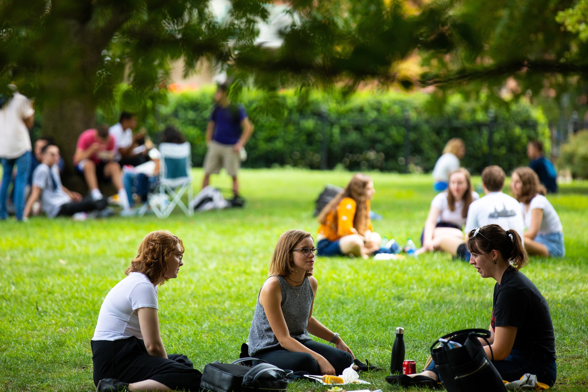 Student AI Use on the Rise: Why Universities Must Lead with Ethical Support