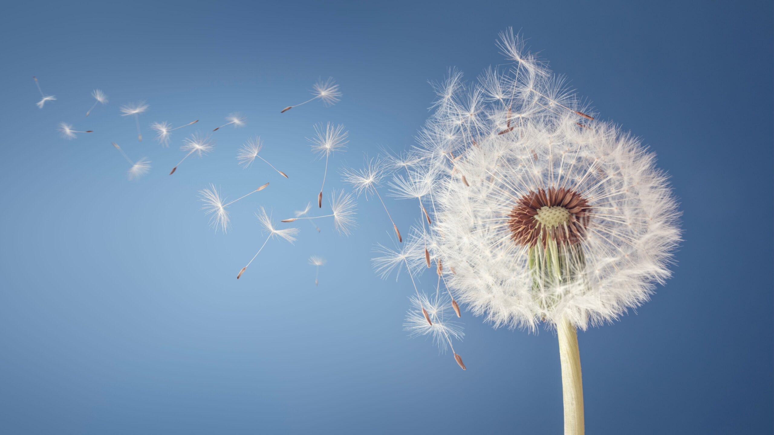 The Office of the Independent Adjudicator is reviewing its Scheme rules, and it wants you involved